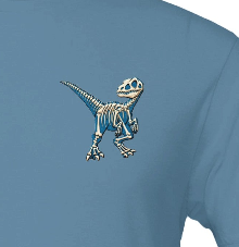 Raptor - Premium Unisex Crewneck T-shirt | Bella + Canvas 3001