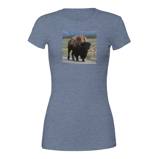 4a7bb190-e515-41b2-9814-737988da4846